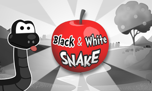 black-and-white-snake